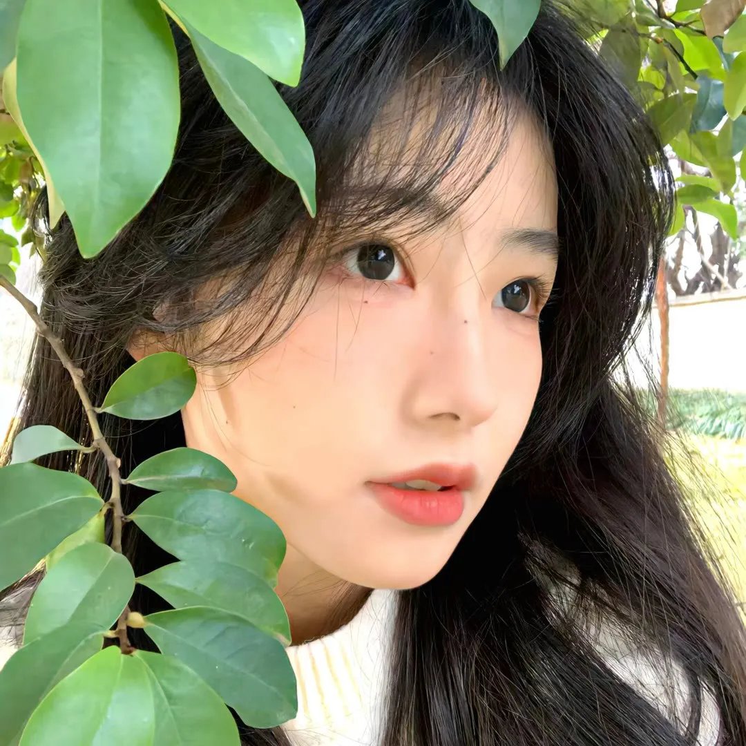 电击少女第一季